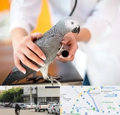 دامپزشکی پرندگان در قدوسی شرقی شیراز