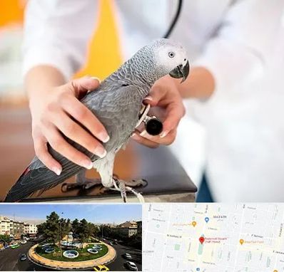 دامپزشکی پرندگان در هفت حوض