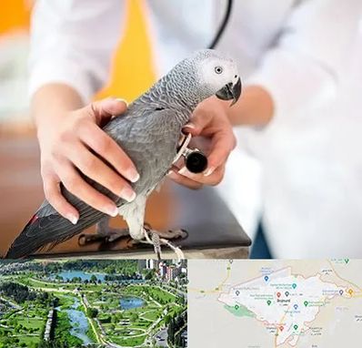 دامپزشکی پرندگان در بجنورد