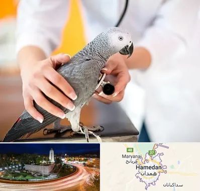 دامپزشکی پرندگان در همدان