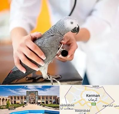 دامپزشکی پرندگان در کرمان
