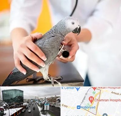 دامپزشکی پرندگان در اقدسیه