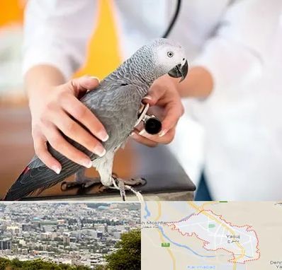 دامپزشکی پرندگان در یاسوج