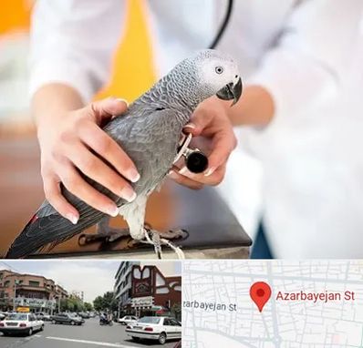 دامپزشکی پرندگان در خیابان آذربایجان
