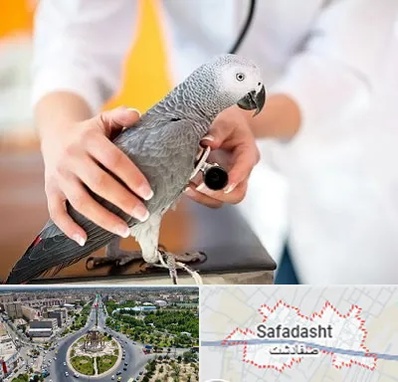 دامپزشکی پرندگان در صفادشت