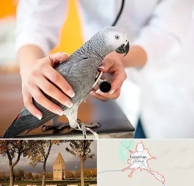 دامپزشکی پرندگان در تویسرکان