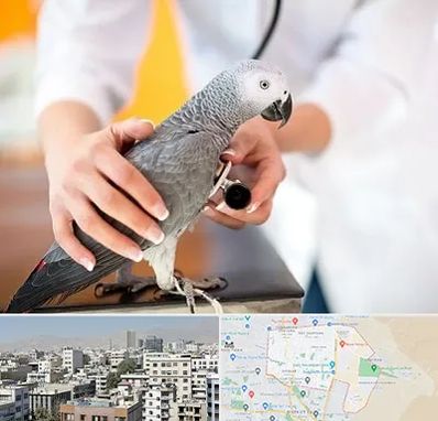 دامپزشکی پرندگان در منطقه 14 تهران