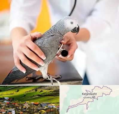 دامپزشکی پرندگان در کلاردشت