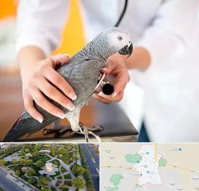 دامپزشکی پرندگان در کاشمر