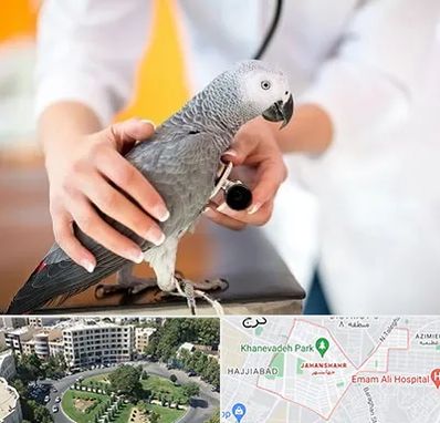 دامپزشکی پرندگان در جهانشهر کرج