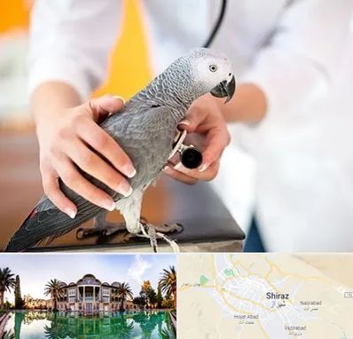 دامپزشکی پرندگان در شیراز