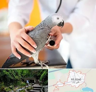 دامپزشکی پرندگان در علی آباد کتول