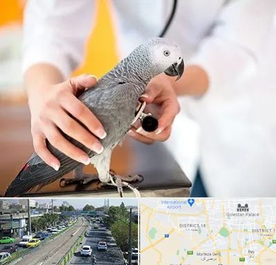 دامپزشکی پرندگان در جنوب تهران