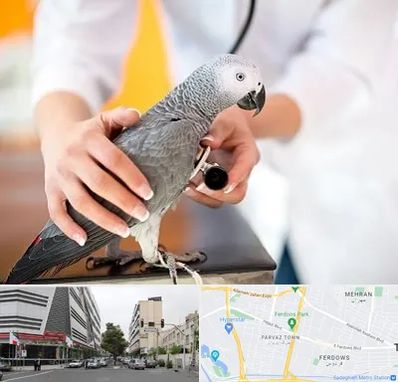 دامپزشکی پرندگان در بلوار فردوس