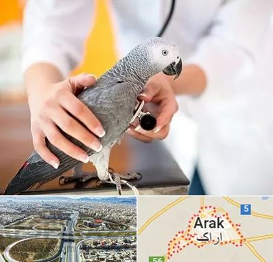 دامپزشکی پرندگان در اراک