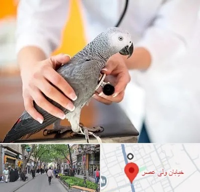 دامپزشکی پرندگان در ولیعصر شهریار