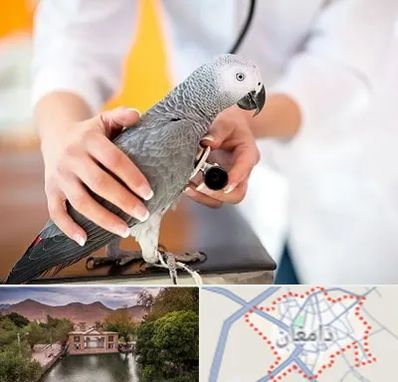 دامپزشکی پرندگان در دامغان