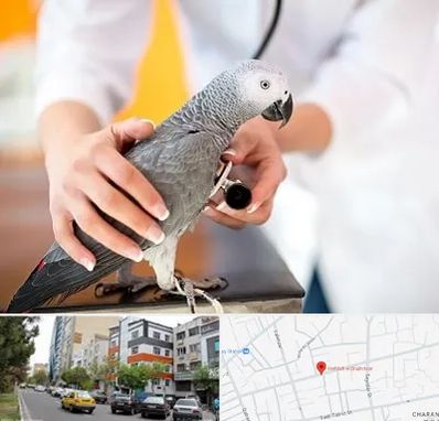 دامپزشکی پرندگان در هفده شهریور تبریز