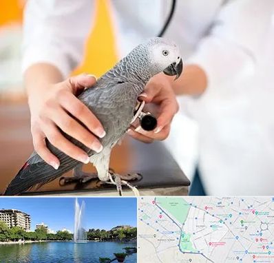 دامپزشکی پرندگان در کوهسنگی مشهد