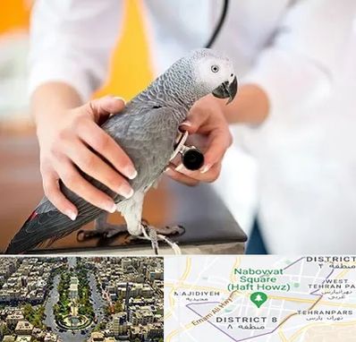 دامپزشکی پرندگان در نارمک