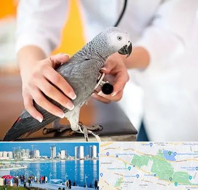 دامپزشکی پرندگان در چیتگر