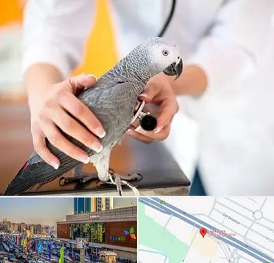 دامپزشکی پرندگان در لاله پارک تبریز