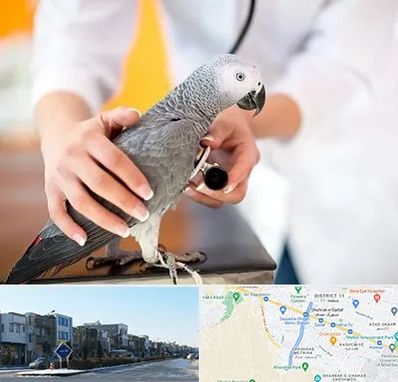 دامپزشکی پرندگان در شریعتی مشهد