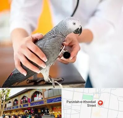 دامپزشکی پرندگان در 15 خرداد