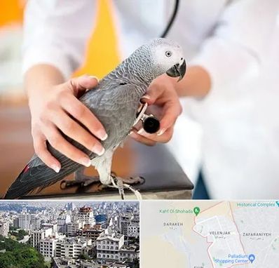 دامپزشکی پرندگان در ولنجک