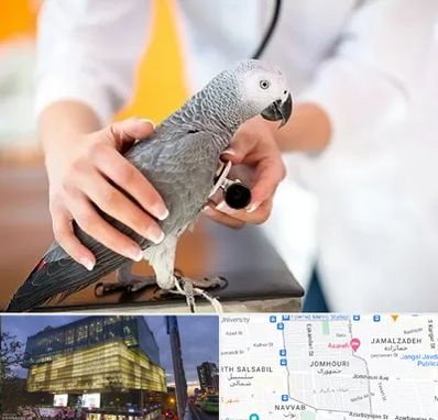 دامپزشکی پرندگان در جمهوری