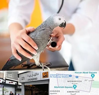 دامپزشکی پرندگان در منیریه