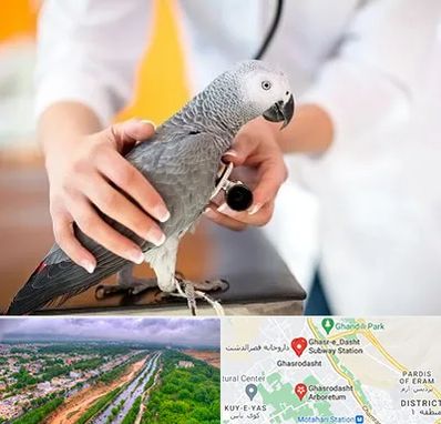 دامپزشکی پرندگان در قصرالدشت شیراز