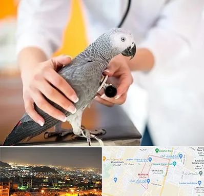 دامپزشکی پرندگان در مارلیک کرج
