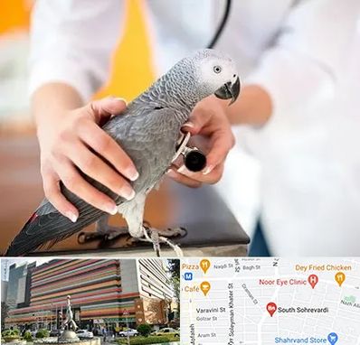 دامپزشکی پرندگان در سهروردی