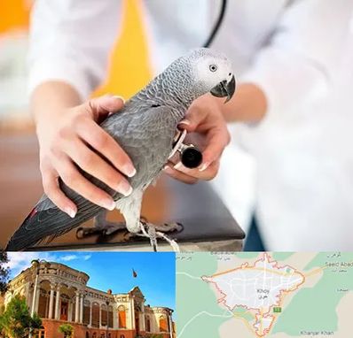 دامپزشکی پرندگان در خوی