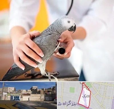 دامپزشکی پرندگان در اتابک