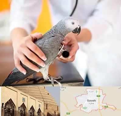 دامپزشکی پرندگان در ساوه