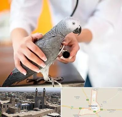 دامپزشکی پرندگان در سبزوار