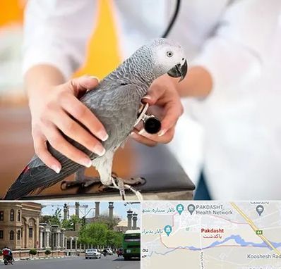 دامپزشکی پرندگان در پاکدشت