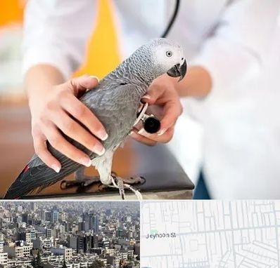 دامپزشکی پرندگان در جیحون