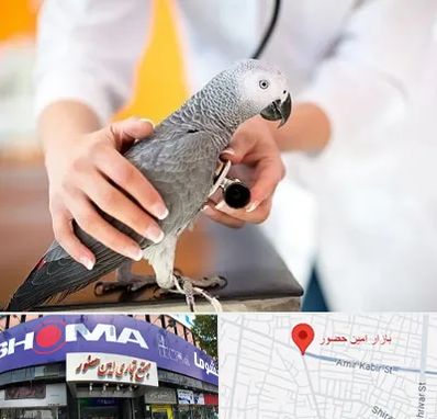 دامپزشکی پرندگان در امین حضور