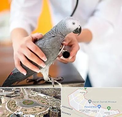 دامپزشکی پرندگان در پرند