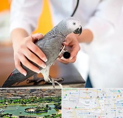 دامپزشکی پرندگان در منطقه 9 تهران