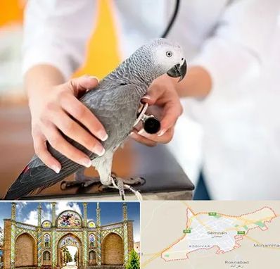 دامپزشکی پرندگان در سمنان
