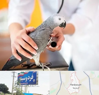 دامپزشکی پرندگان در فردوسیه شهریار