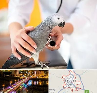 دامپزشکی پرندگان در سقز