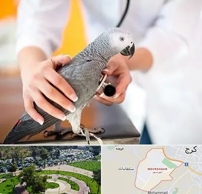 دامپزشکی پرندگان در مهرشهر کرج