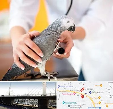 دامپزشکی پرندگان در پارک وی