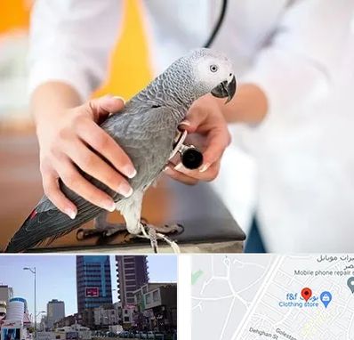 دامپزشکی پرندگان در چهارراه طالقانی کرج