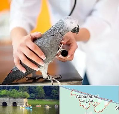 دامپزشکی پرندگان در عباس آباد